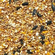 Organic Chicken Feed